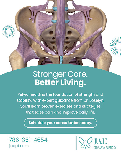 Images The Pelvic Trainer - Jae Physical Therapy