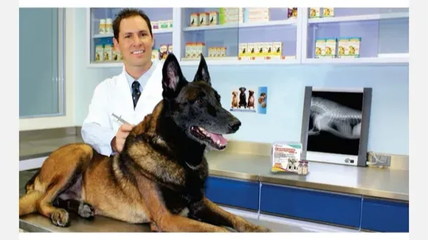 Images Hospital Veterinario Orejas
