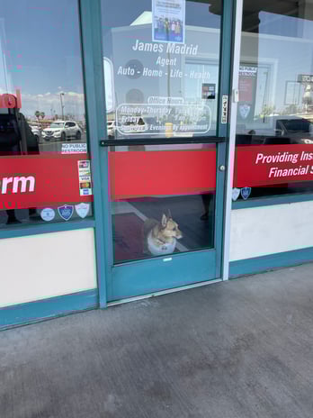 Images James Madrid - State Farm Insurance Agent