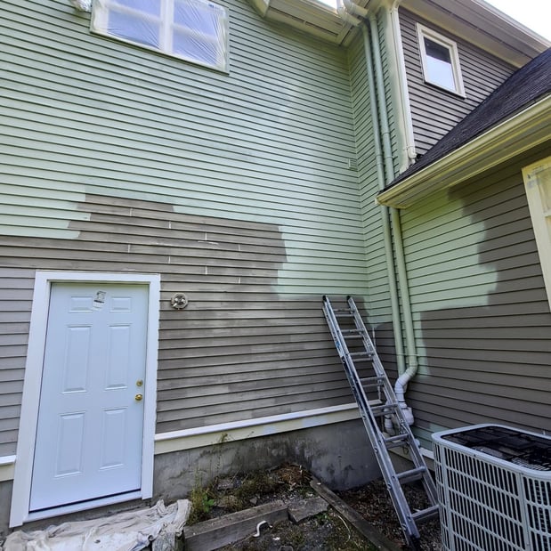 Images Premier Pro Painting