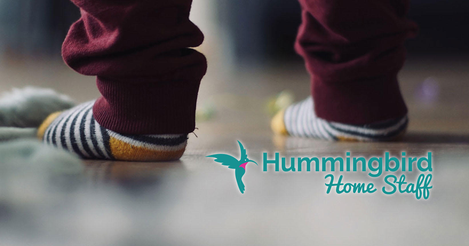 Images Hummingbird Homestaff Ltd