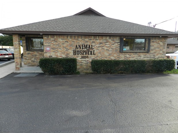 Images Animal Medical Center of Gulf Breeze