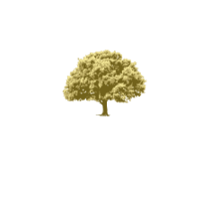 Wood Family Funeral Service