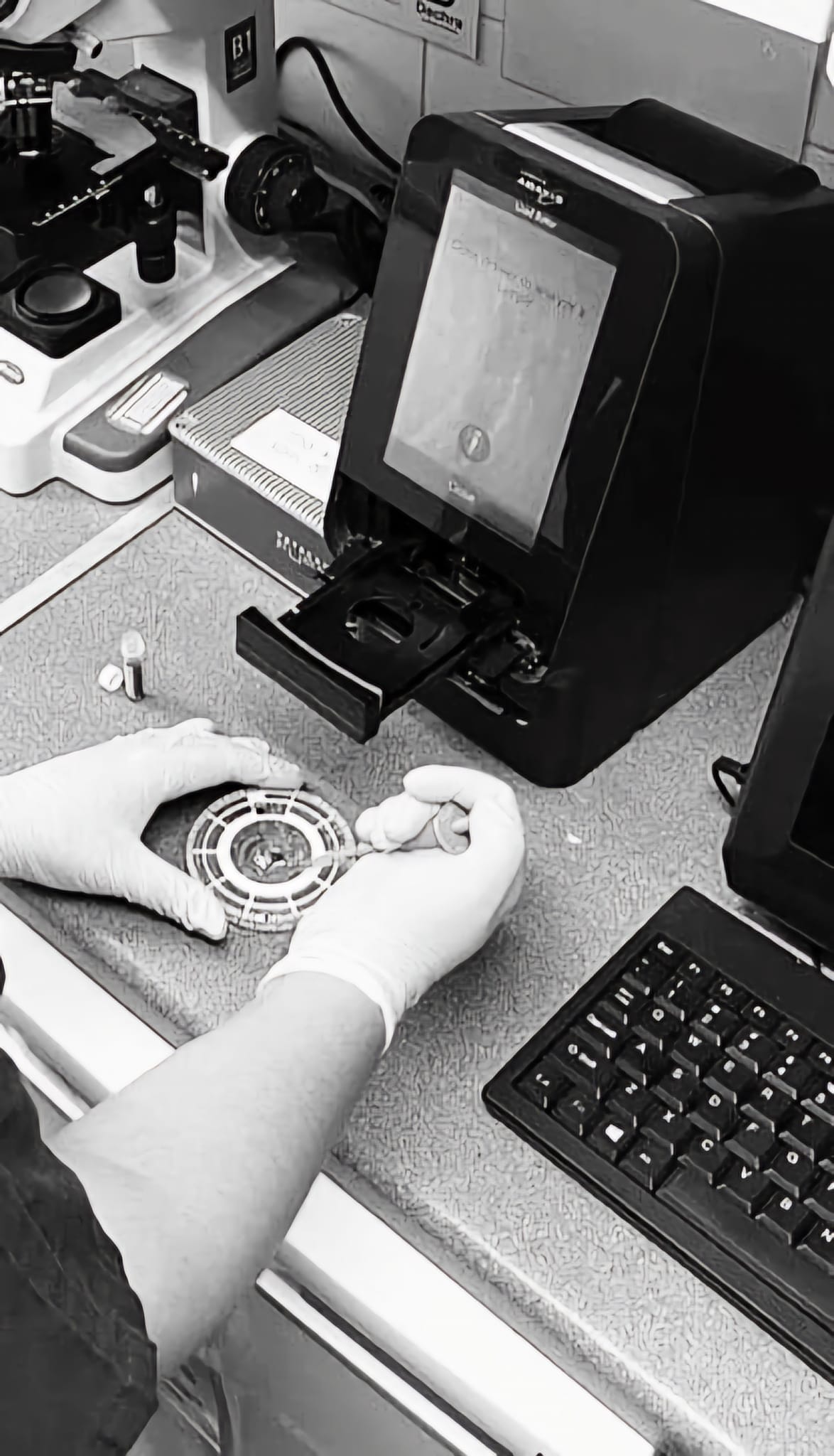 Images The Hackney Vet