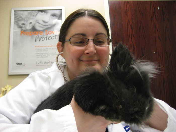 Images VCA All Pet Animal Hospital/Taylorsville