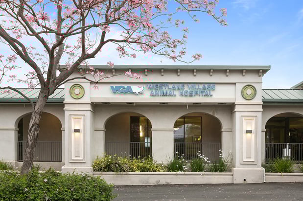 Images VCA Westlake Village Animal Hospital