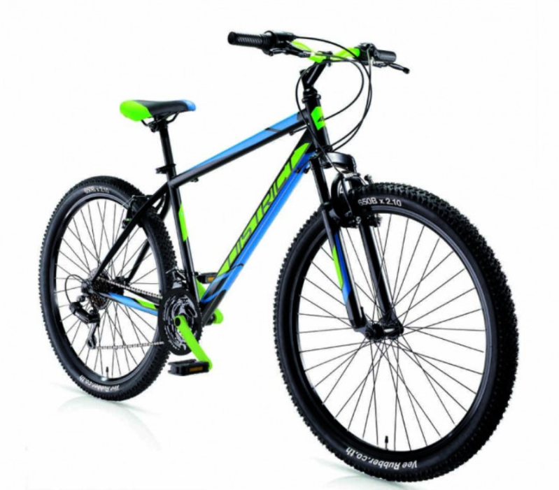 Images Ciclidea