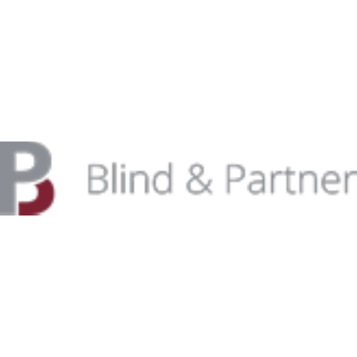 Blind & Partner mbB in Stuttgart - Logo