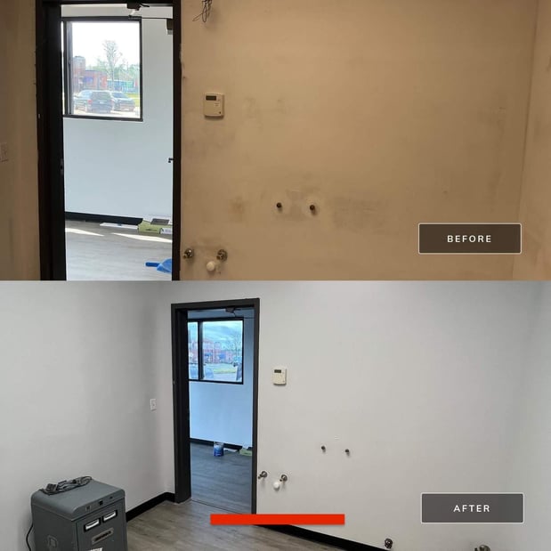 Images Rogers Painters