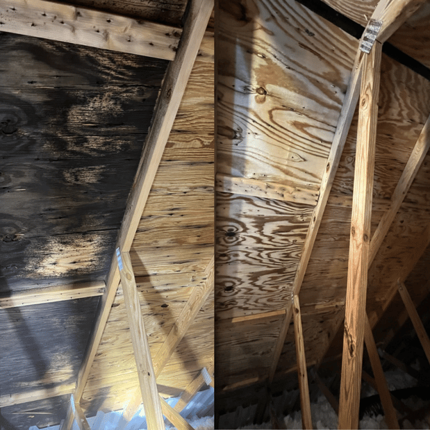 Images Quality Mold Remediation LLC