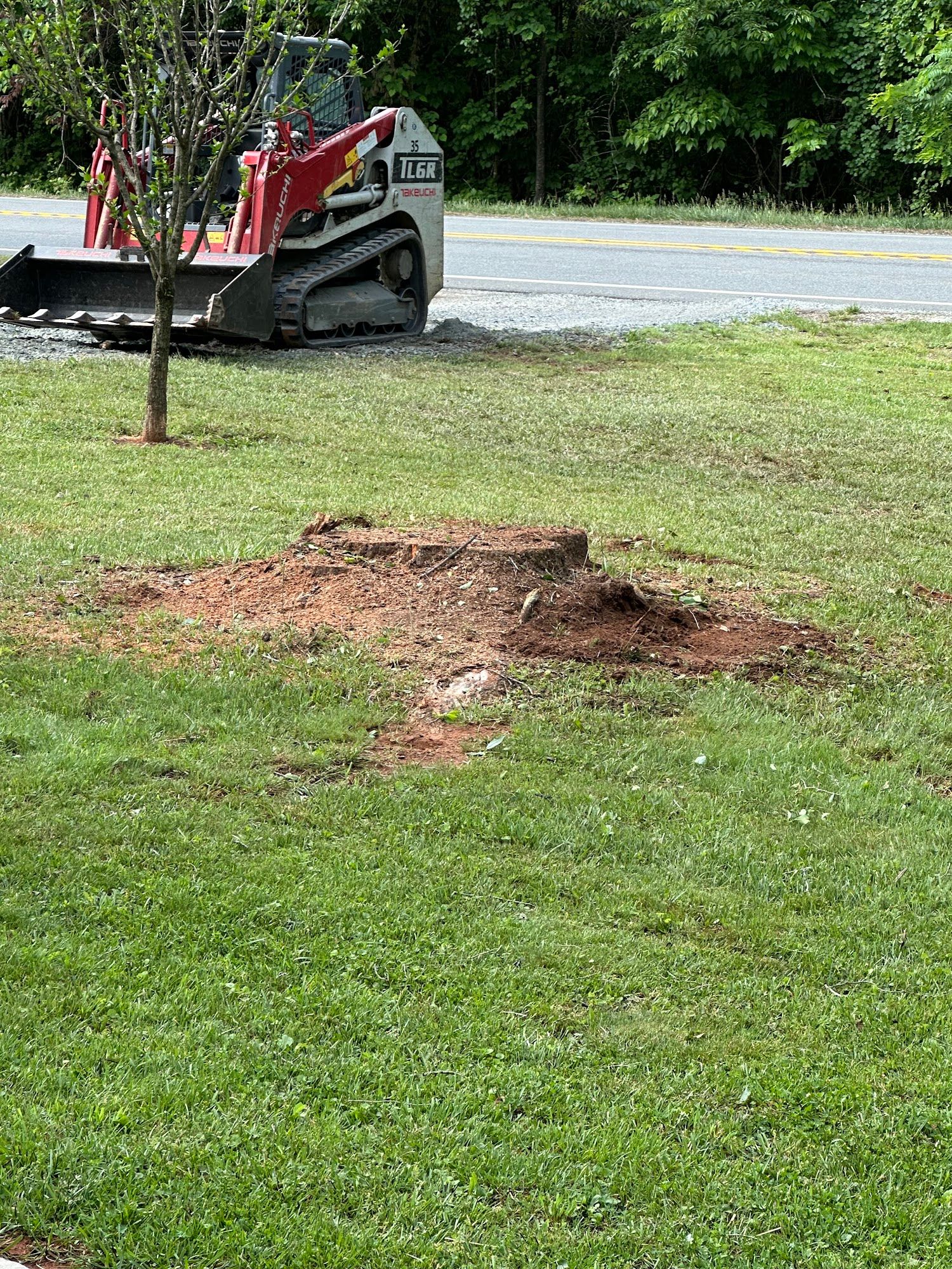 RMZ Tree Service