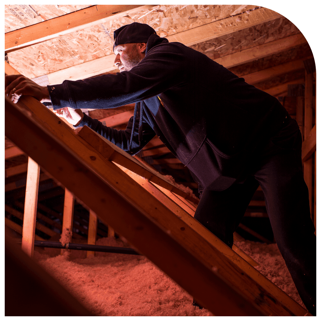 Images Morin inspection