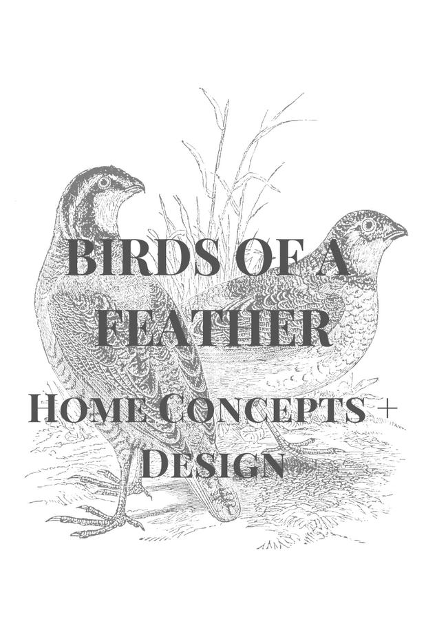 Images Birds of a Feather Home Concepts and Design