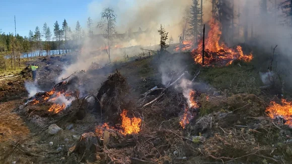 Images Kuusamon Yhteismetsä