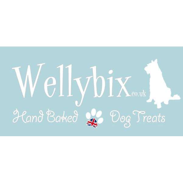 Wellybix Logo
