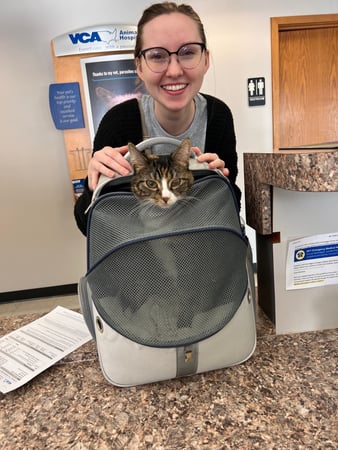 Images VCA Green Animal Hospital