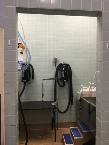 Images Petco Grooming