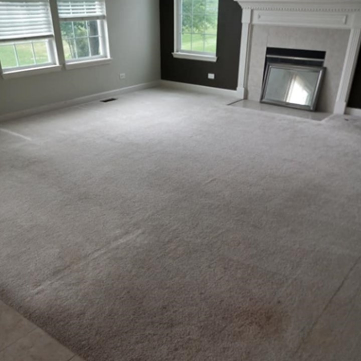 Image 4 | Simply Spotless Carpet & Upholstery Cleaning  LLC