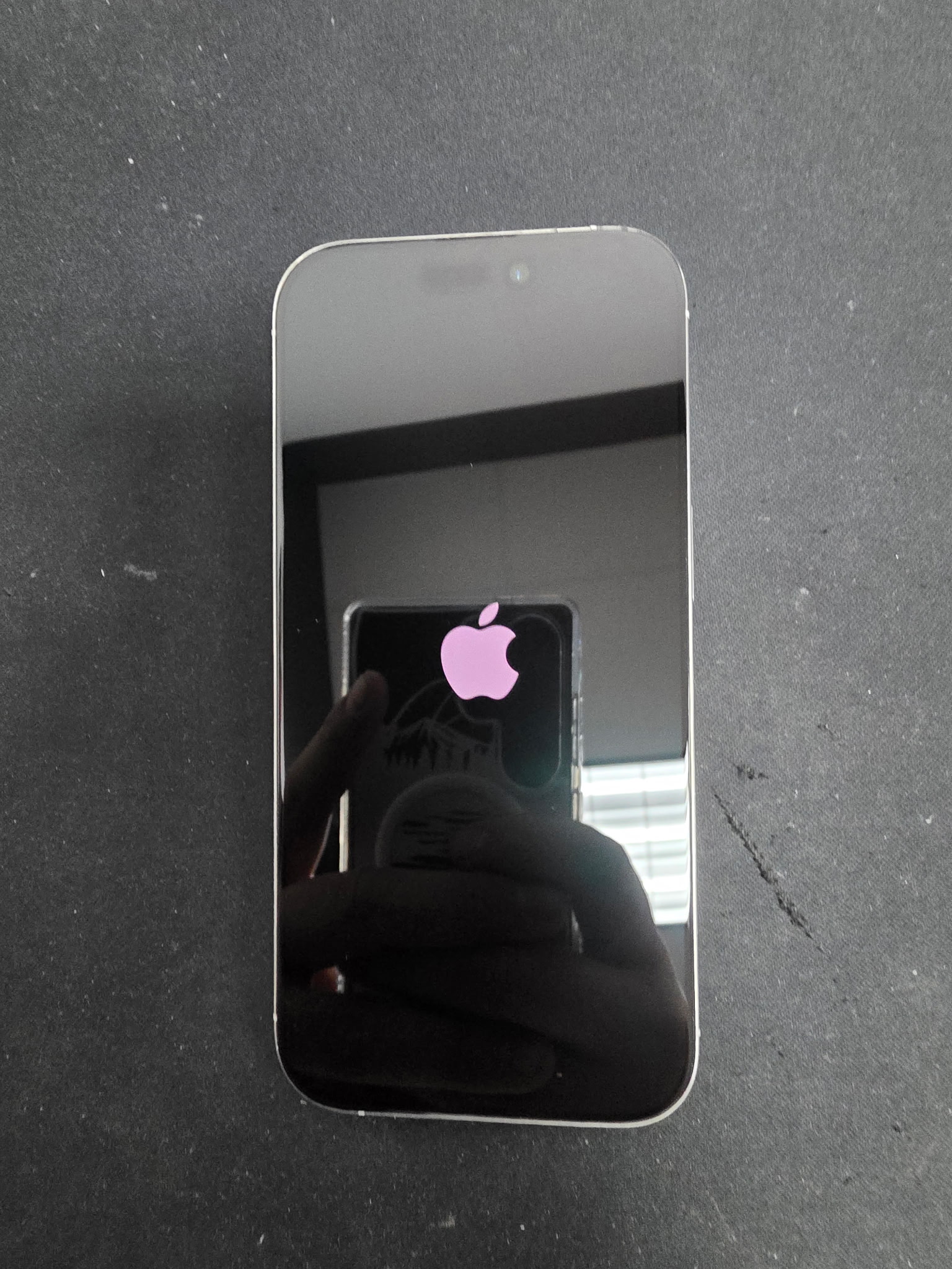 Gallery thumbnail