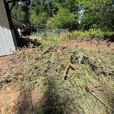 Images Alexa's Tree Service