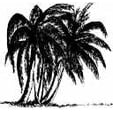 Eau Gallie Wholesale Nursery Inc. Logo