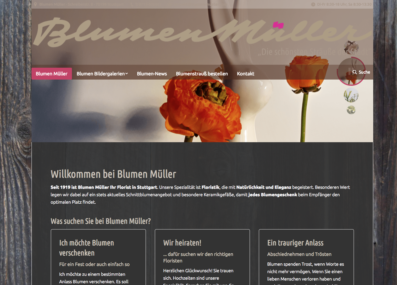 Bild 7 Floristweb in Kitzingen