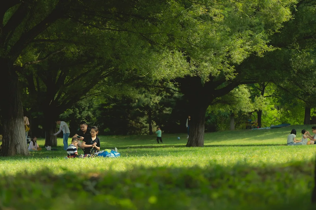 Park