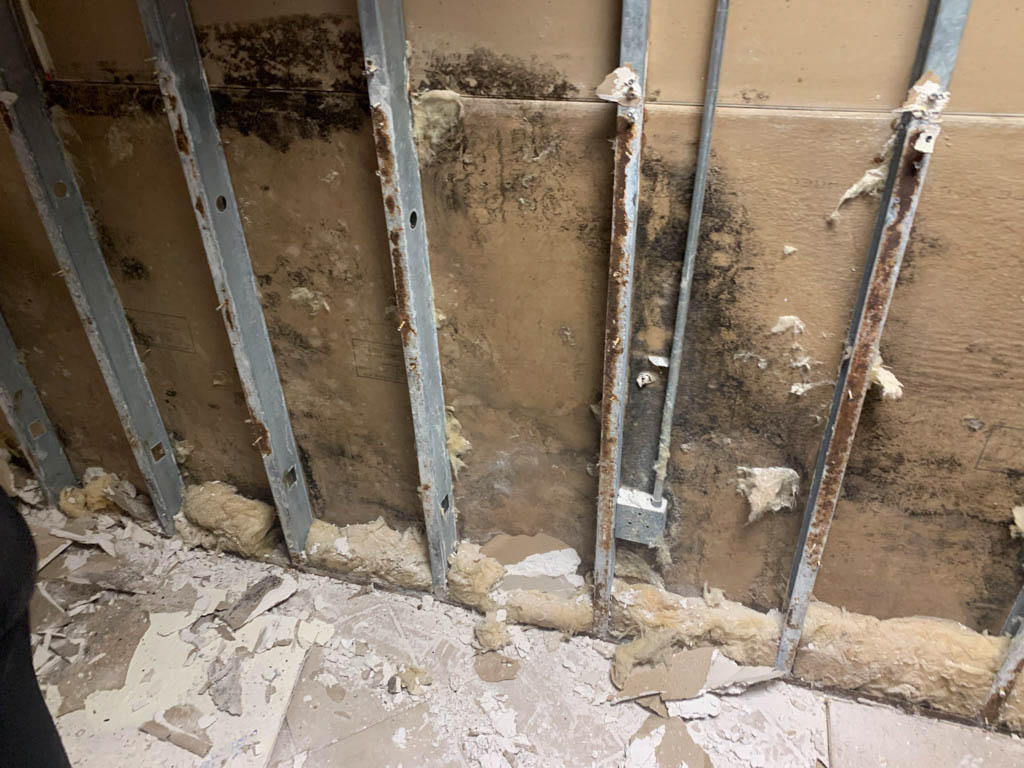 It's always best to call SERVPRO of Jacksonville Westside/ Orange Park if you think you might have discovered any kind of mold in your Bellair, FL property . We are experts in mold damage cleanup and restoration. Give us a call today!