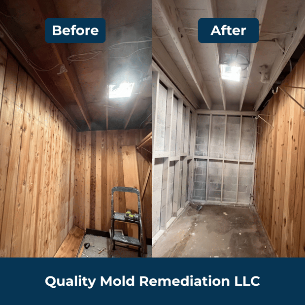 Images Quality Mold Remediation LLC