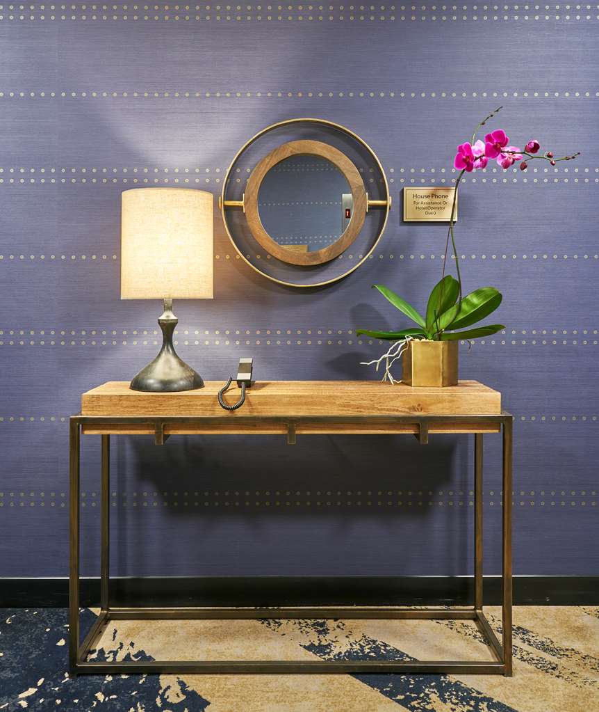 Sable at Navy Pier Chicago, Curio Collection by Hilton