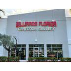 Billiards Florida Logo