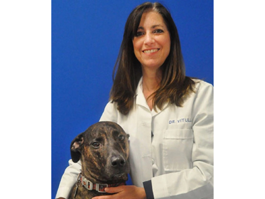 Dr. Michelle Vitulli_ DVM Founder of Caring Hands Animal Hospital Ashburn