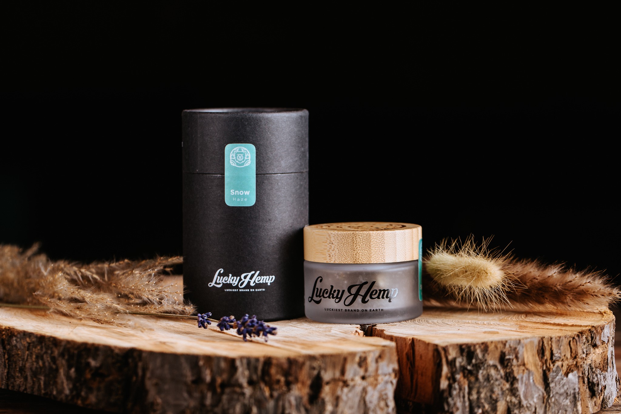 Lucky Life AG, Blumenstraße 221 in Backnang