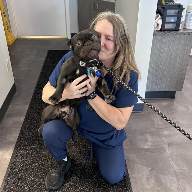 Images VCA Peone Pines Animal Hospital