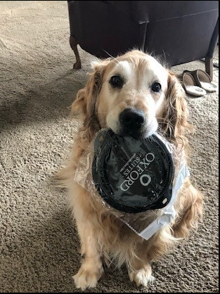 Oxford Suites Silverdale Image