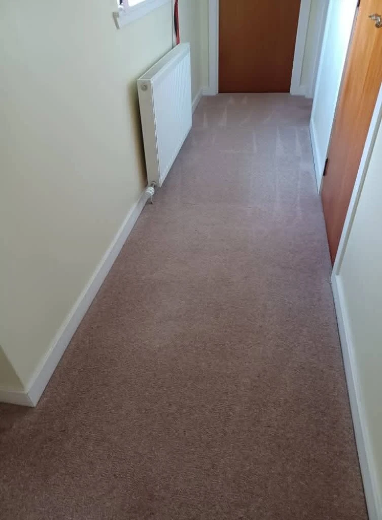Images Johnshaven Carpet Cleaning Services