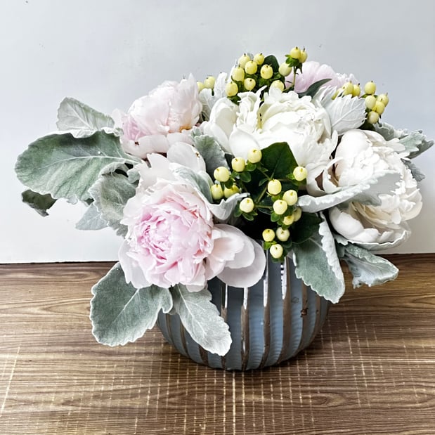 Images Jane's Roses & Flowers
