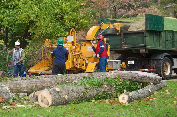 Images Kelley's Tree Service