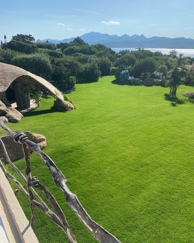 Images Disinfestazioni Ambientali Bachisio Carta