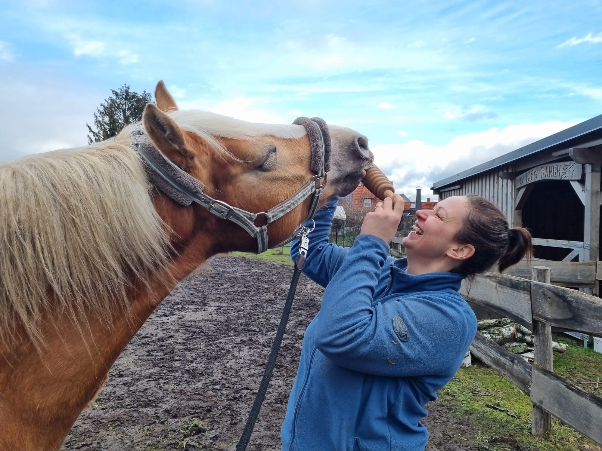 Bild 5 Tierphysiotherapie-Nicole in Falkensee