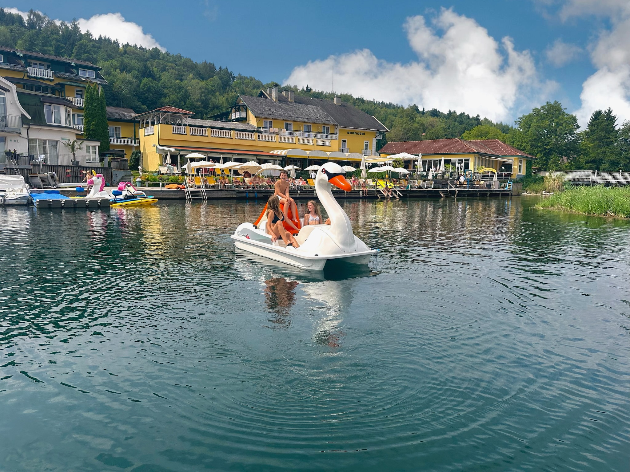 Bild 8 von Seehotel Steiner
