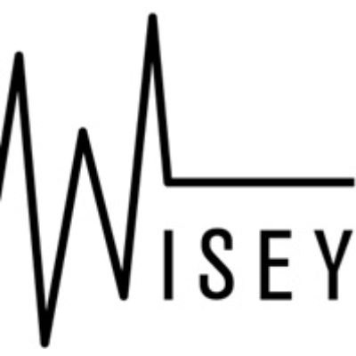 Logo WiSey GbR - Haushaltsauflösungen