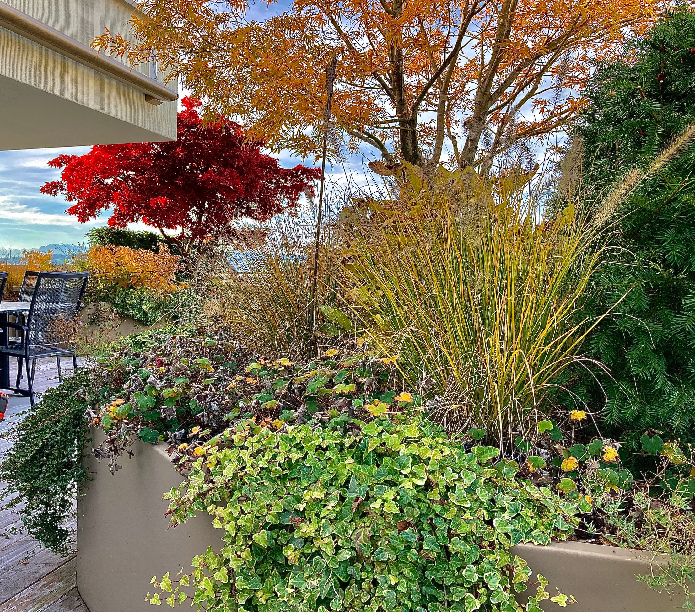 Bilder zehnder-garten GmbH