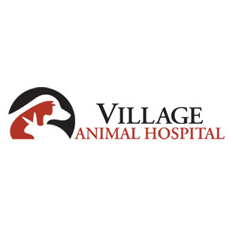 Village Animal Hospital Photo
