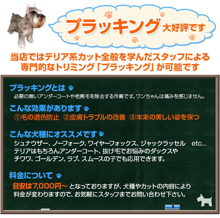 Images TOPDOGS本店 トップドッグス