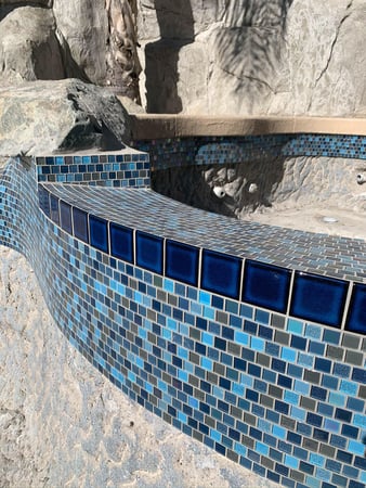 Images Gorilla Pools