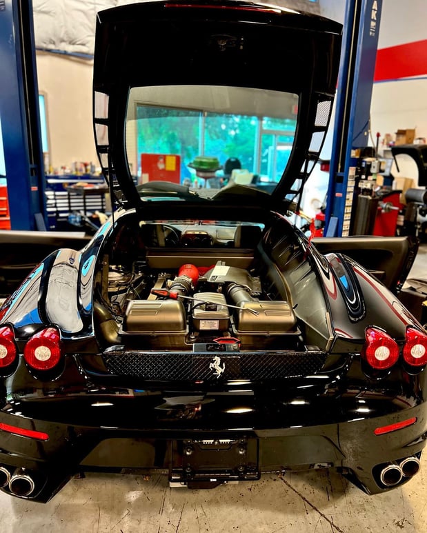 Images Loudoun County Exotics