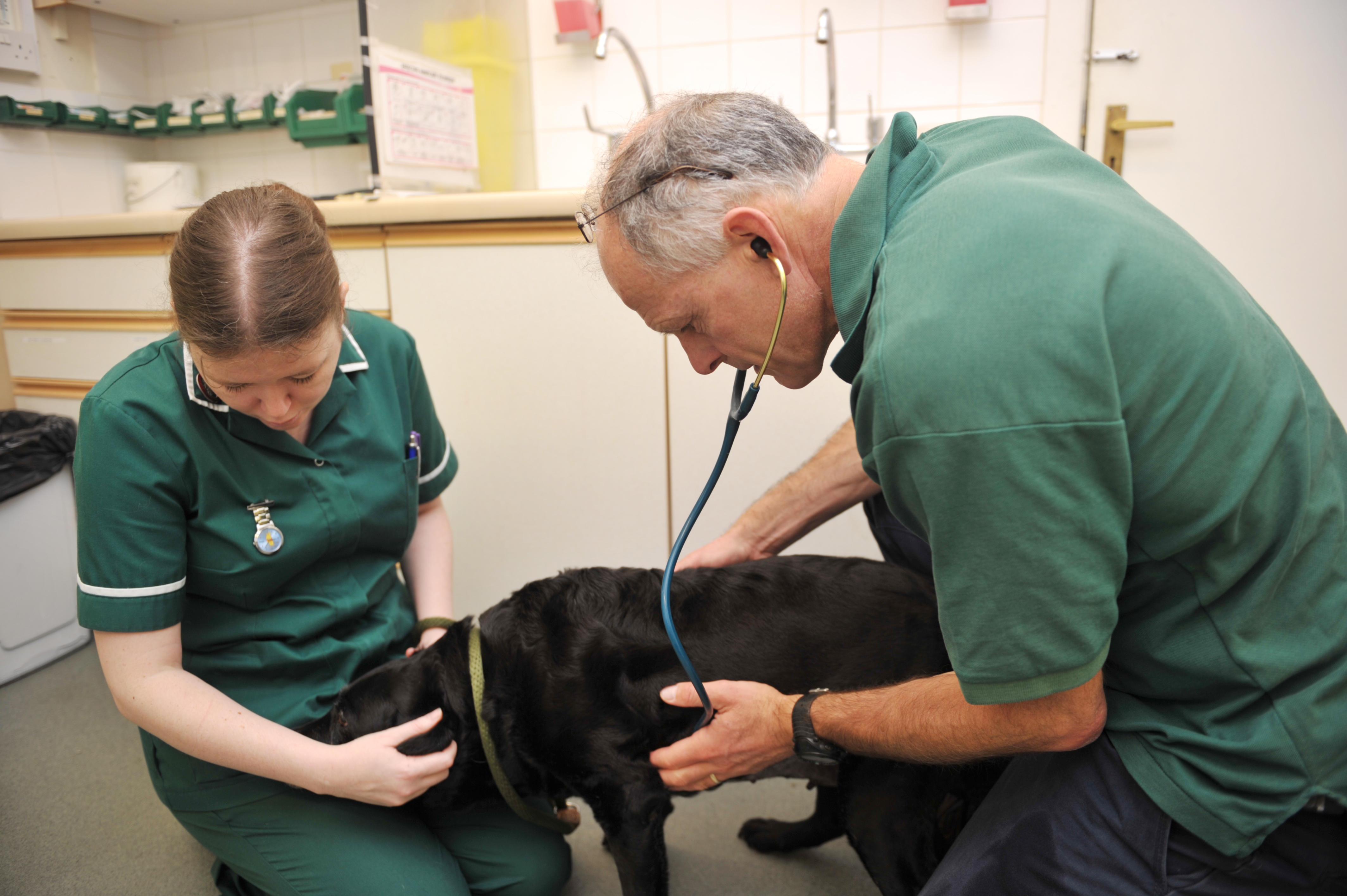 Images Abbey Veterinary Centres, Tredegar