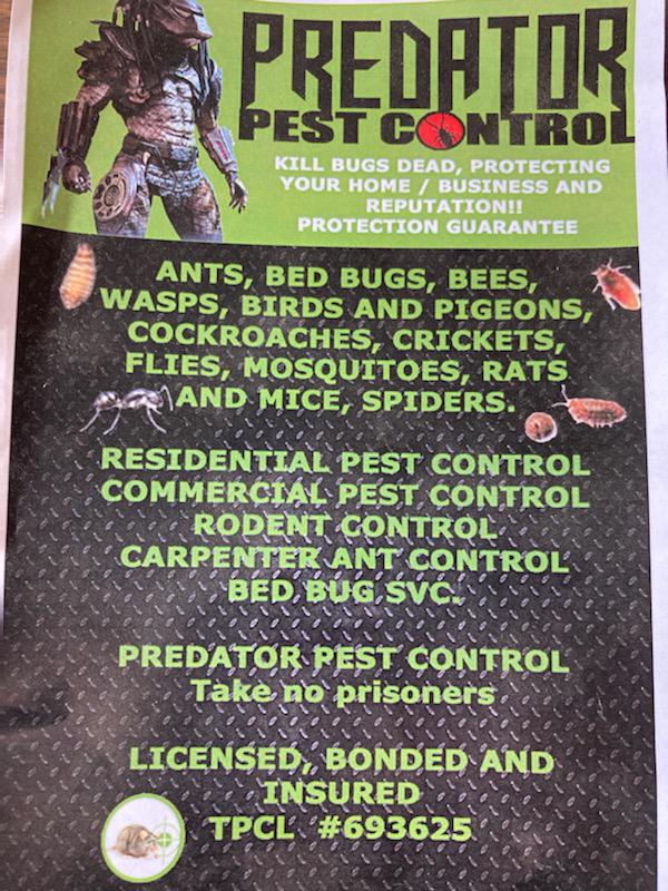 Keeping your home & business pest free