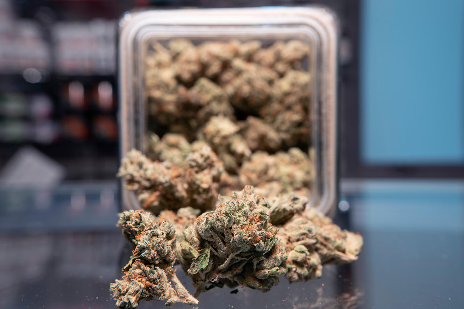 Star Buds DU Recreational Marijuana Dispensary at E Evans Ave